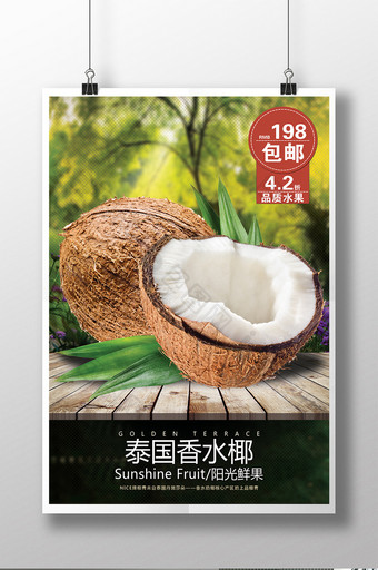 泰国香水椰子海报图片