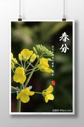 24节气（二十四节气）-春分图片