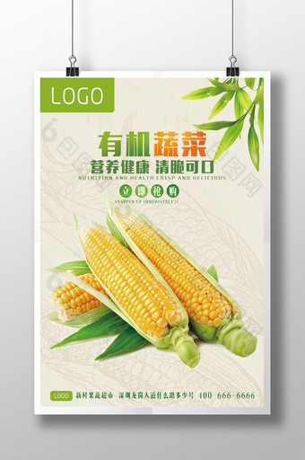 有机蔬菜海报 玉米海报图片