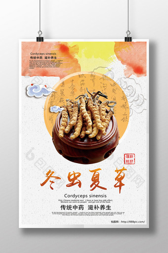 中国风冬虫夏草海报图片