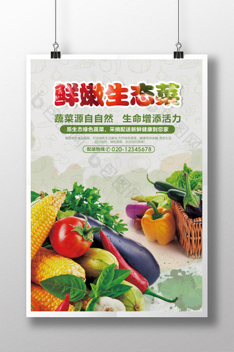 大自然鲜嫩蔬菜海报设计图片