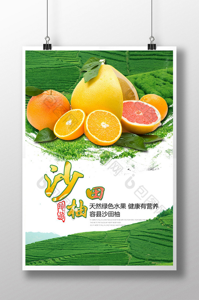 柚子模板图片图片