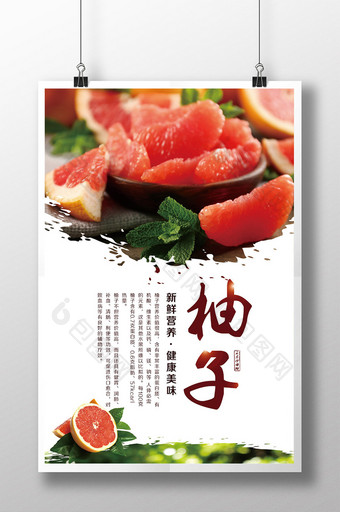 红肉柚子创意海报图片