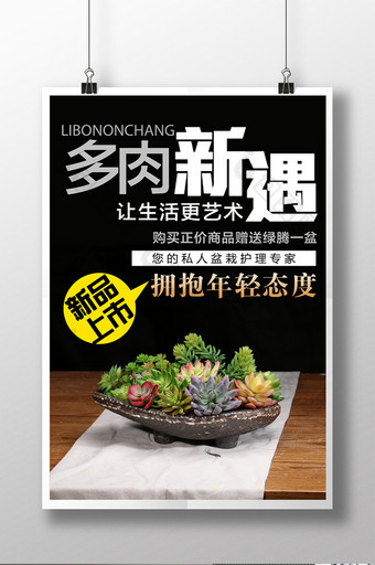 多肉植物新品上市海报图片