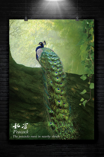 绿色森林孔雀挂画图片
