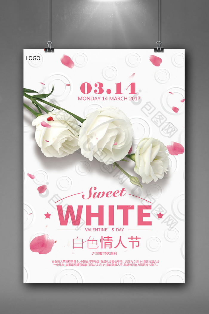 白玫瑰玫瑰花白色玫瑰图片