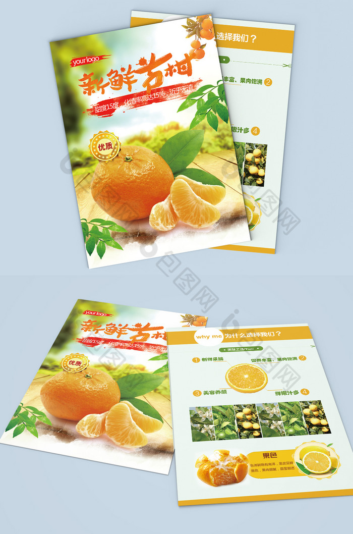 新鲜果蔬芦柑活动促销单页图片图片
