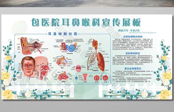 医疗耳鼻喉科展板