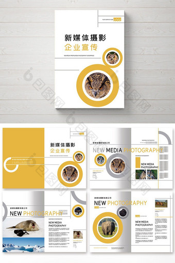 企业业务宣传黄色商用整套画册设计图片