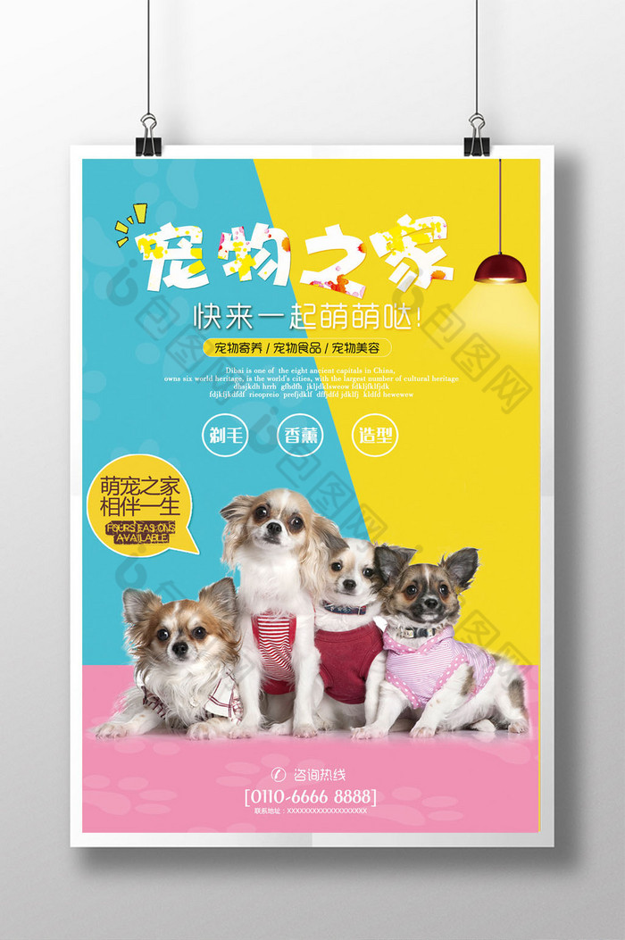 宠物店促销海报宠物造型猫脚印图片