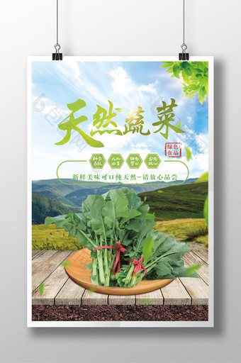 绿色食品蔬菜合成海报图片