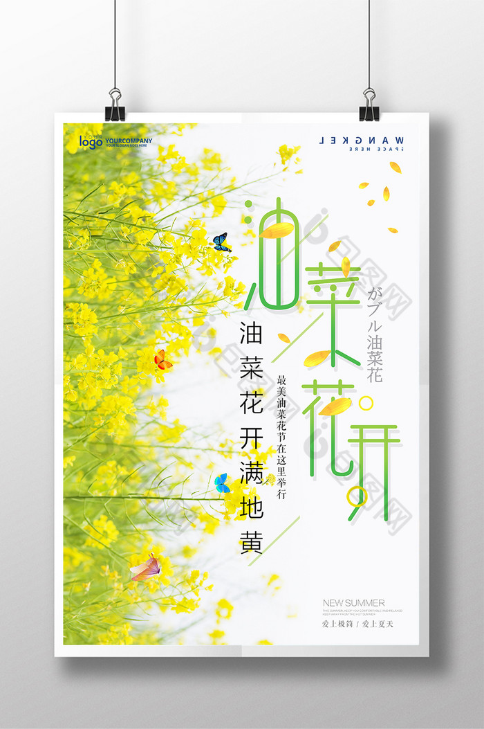 油菜花樱花节日系花海图片