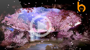 桃花背景图片_桃花背景模板下载_桃花背景设