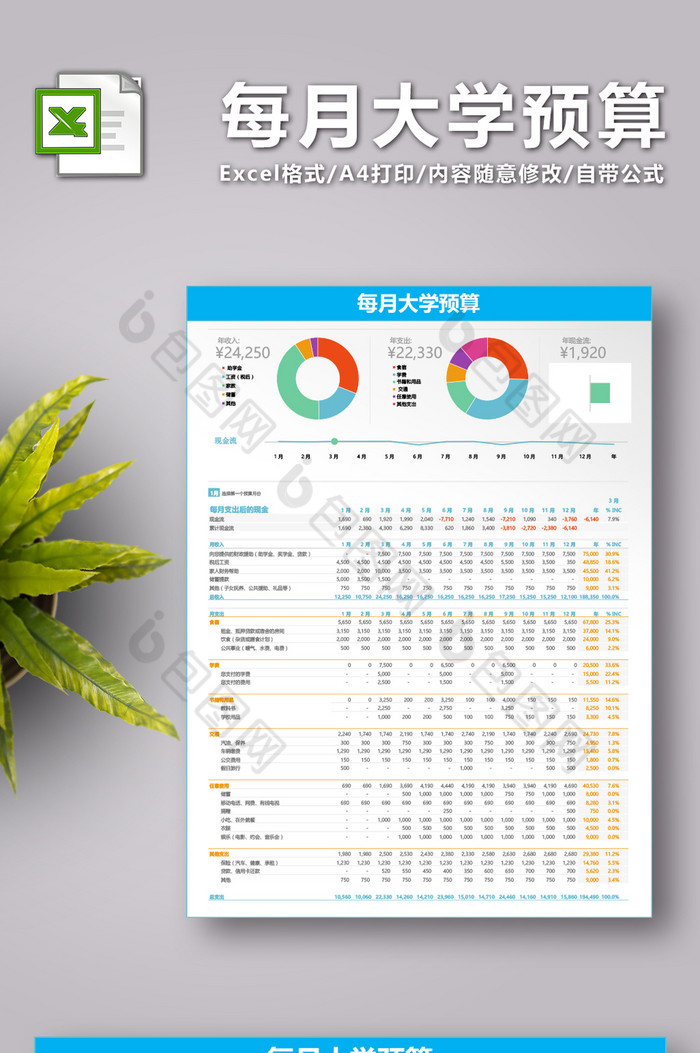 每月大学预算Excel表图片图片