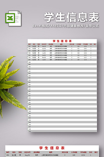 学生信息表Excel表图片