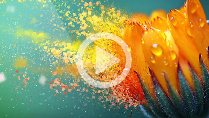 震撼屏幕破碎特效电影预告片头AE模板视频素