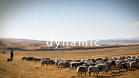 时尚动感节奏照片相册动画<strong>图文</strong>片头AE模板