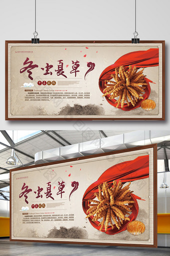 中国风冬虫夏草药材模板展板图片