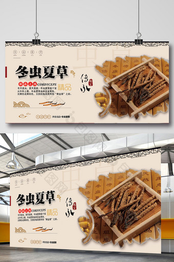 中国风冬虫夏草药材展板图片