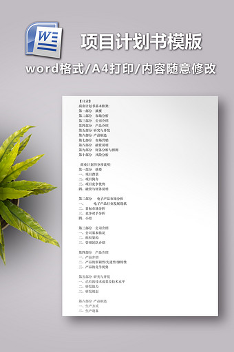 项目计划书模版word图片