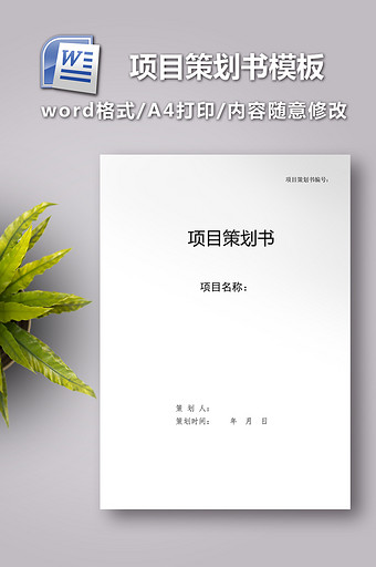 项目策划书模板word图片