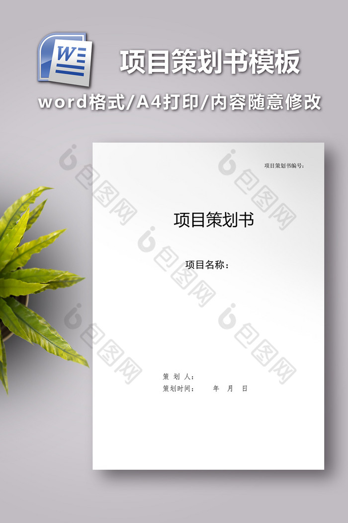 项目策划书模板word