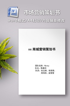 网络创业项目营销创业计划书Word文档