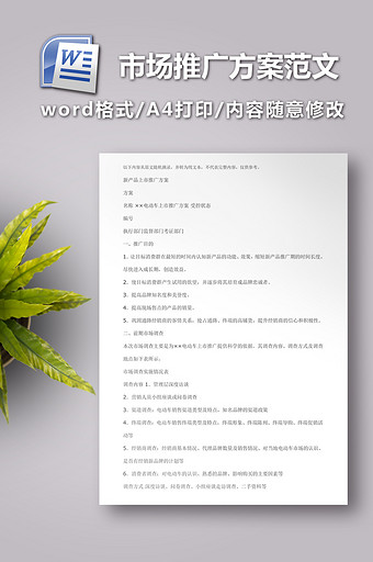 市场推广方案(经典范文)图片