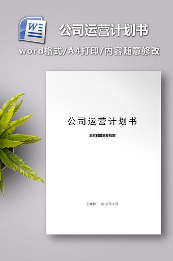 公司运营计划书word模板图片