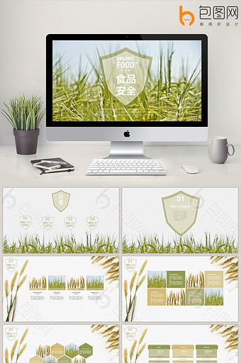 小清新绿色麦子食品安全第一PPT模板图片