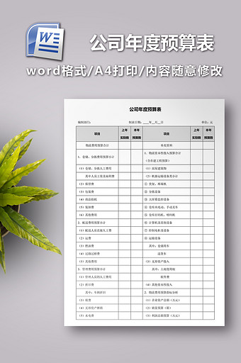 公司年度预算表模板图片