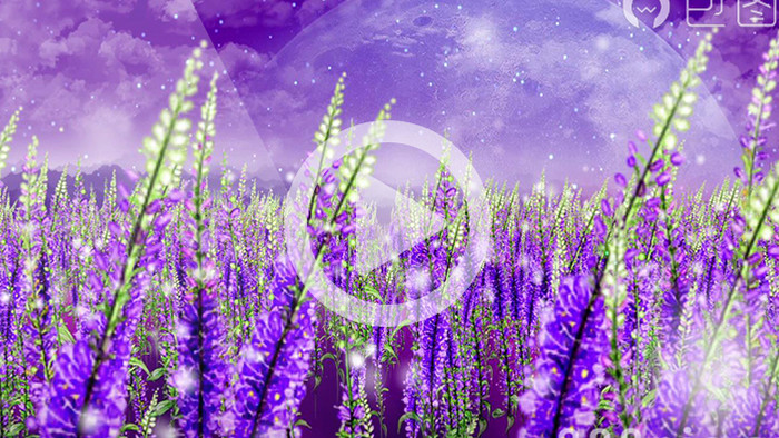 风吹草动使然景色实拍短片相册背景视频素材