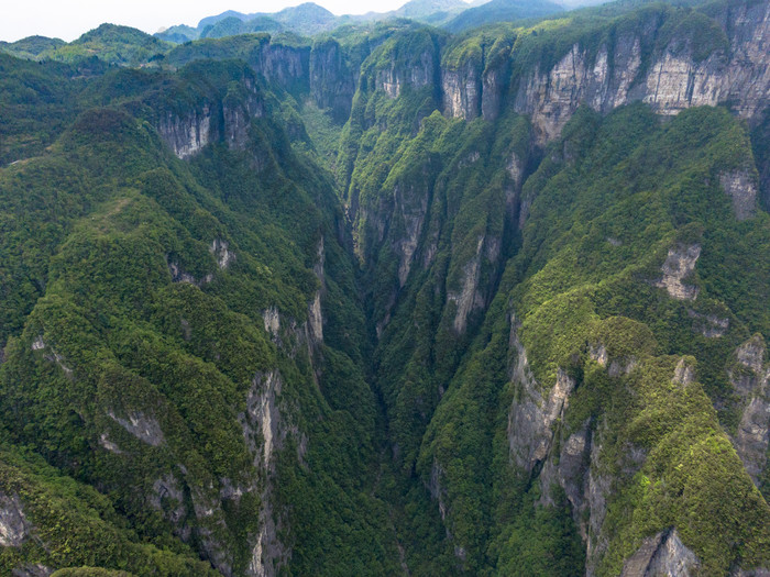 湖南张家界大山深处山谷悬崖