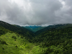 祖国青山森林树林云雾航拍摄影图