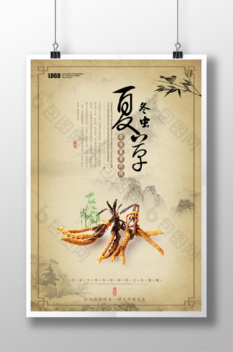 古风中药文化冬虫夏草展板设计海报图片