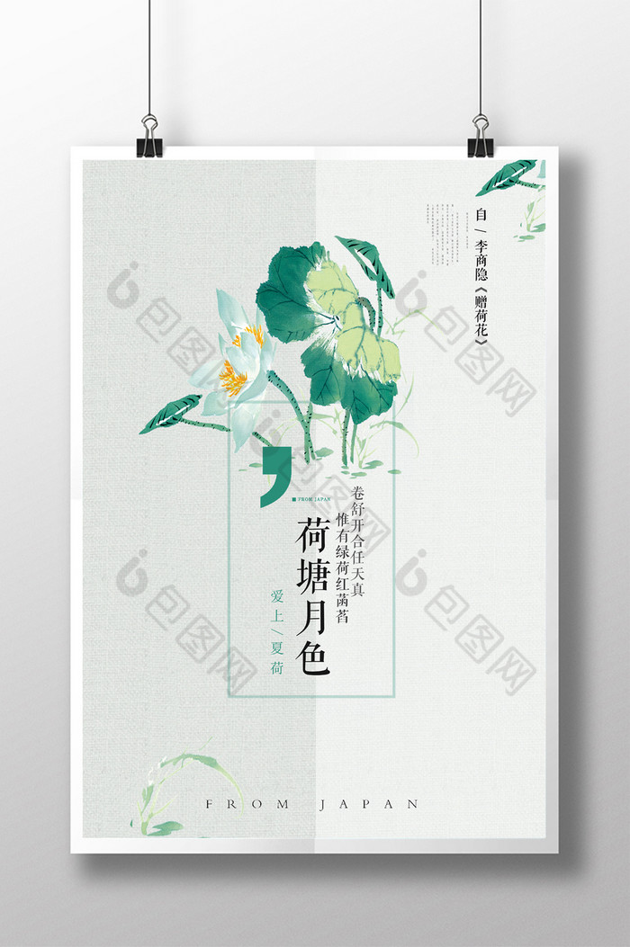 荷莲花水芙蓉图片