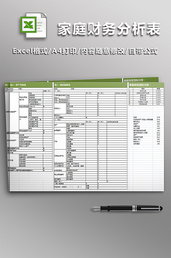 专业的家庭财务分析表图片