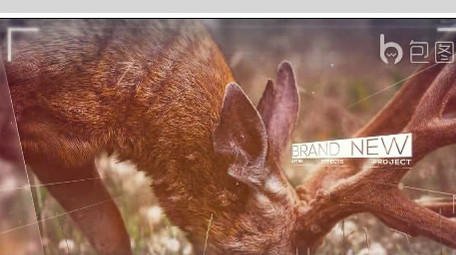 震撼大气空间感视觉差图文展示ae模板