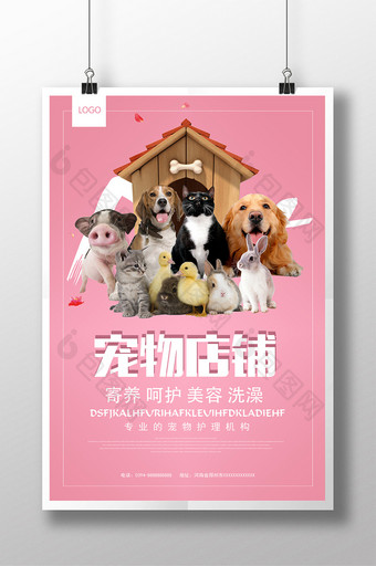 宠物医院店铺宣传海报图片