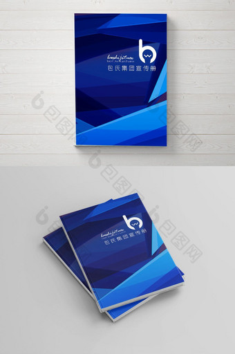 企业集团蓝色宣传册封底封面图片