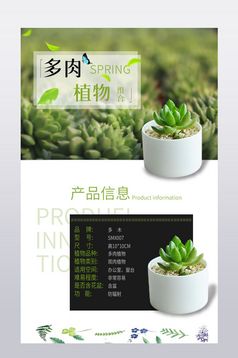 洗护类产品男式用品简单简约风格详情页模板下