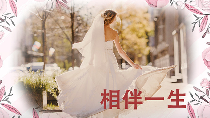 婚庆写真 婚礼视频 婚礼素材 婚礼相册