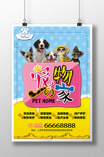 宠物之家可爱宠物店猫狗卡通海报图片