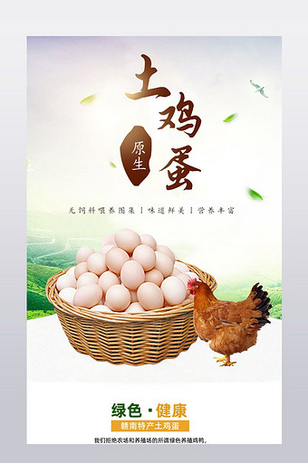 农产品土鸡蛋详情页模板图片