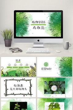 鸟的天堂四年级公开课说课课件PPT模板