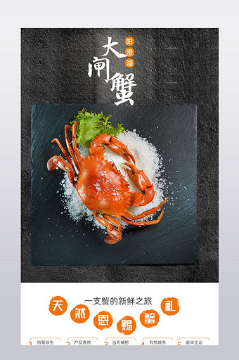 食品海鲜大闸蟹中秋淘宝详情页模版图片