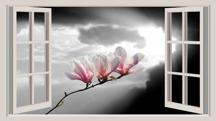 舒缓安静场景背景音乐踏古