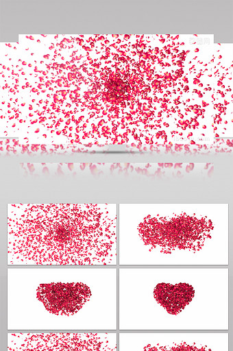 玫瑰花瓣汇聚爱心情人节表白视频素材图片