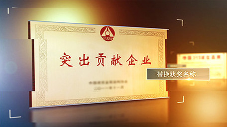 边角线框光效企业荣誉<strong>图文</strong>展示AE模板