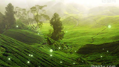 [小清新背景视频素材]图片下载_小清新背景视